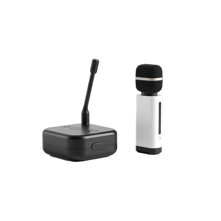 Wireless mics